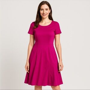 Talbots Womens Size 8 Pink Fit & Flare A-Line Dress Timeless Workwear Classic